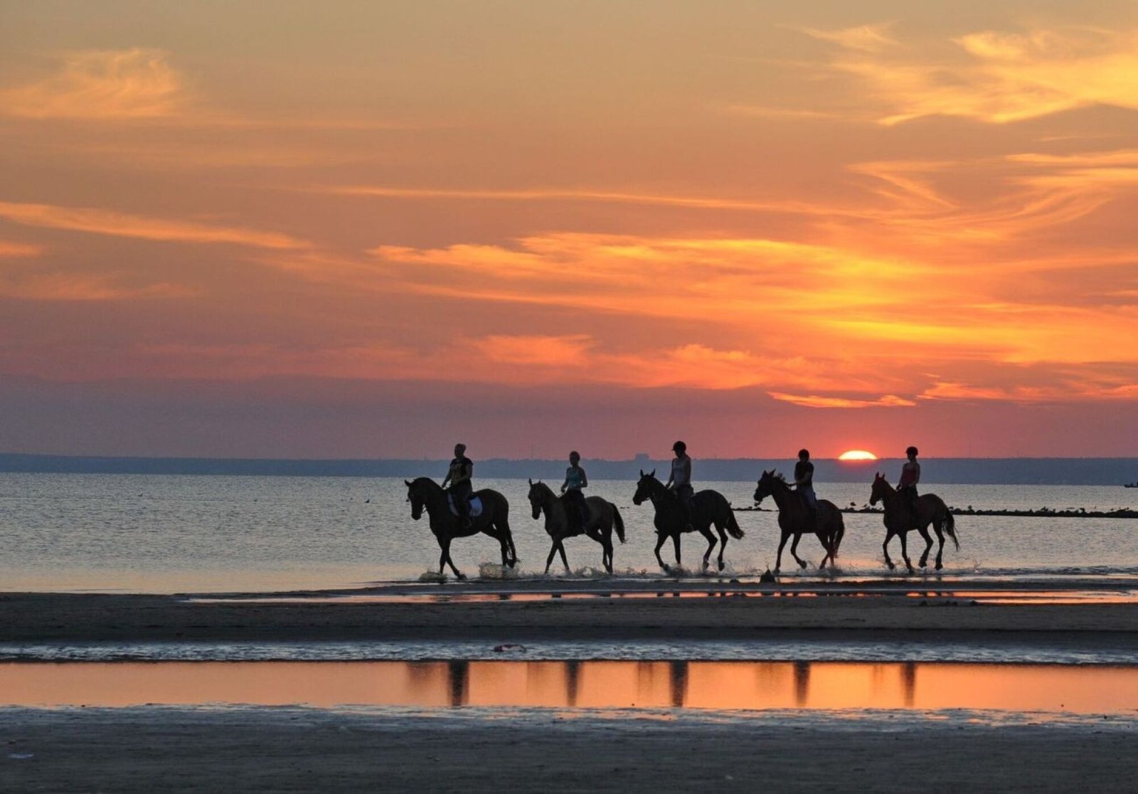 Horse Riding
